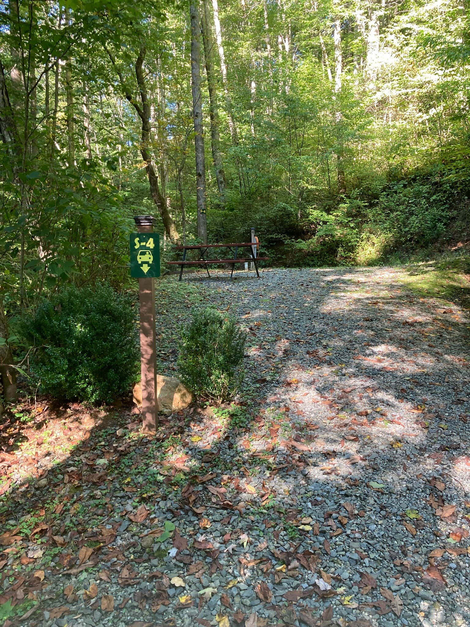 Camper submitted image from Moonshine Creek Campground - 3