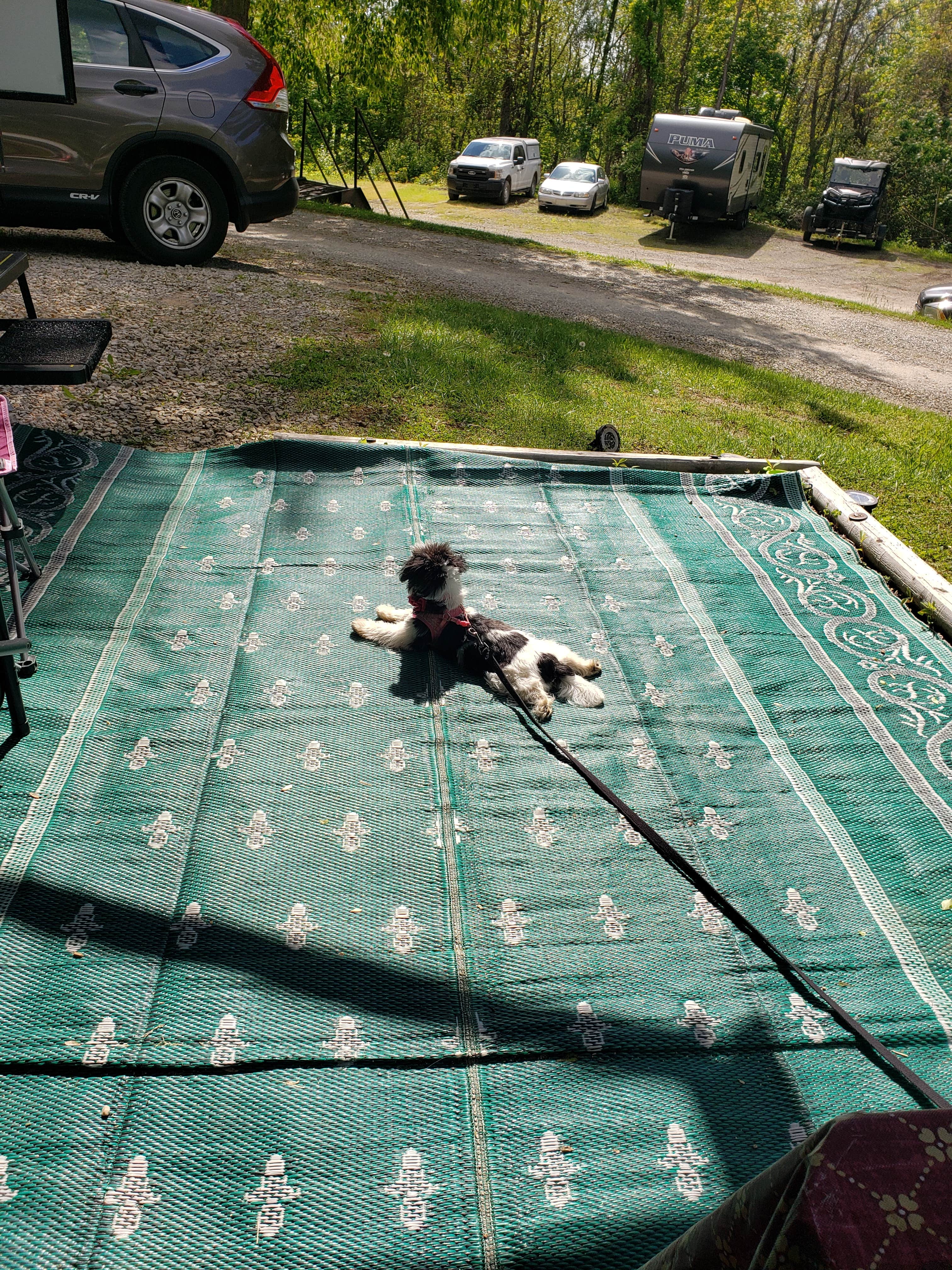 Camping near National Road Campground: Wolfie's Family Kamping, Zanesville, Ohio