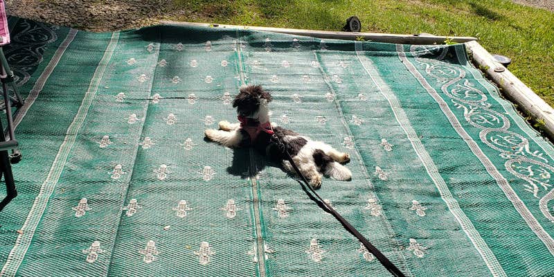 Camper submitted image from Wolfie's Family Kamping