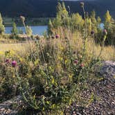 Review photo of Atherton Creek Campground by Joseph R., September 28, 2021