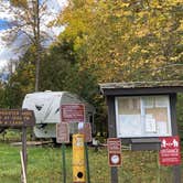 Review photo of Wakemup Bay — Kabetogama State Forest by Janet R., September 28, 2021