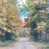 Review photo of Wakemup Bay — Kabetogama State Forest by Janet R., September 28, 2021