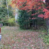 Review photo of Wakemup Bay — Kabetogama State Forest by Janet R., September 28, 2021