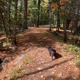 Review photo of Wakemup Bay — Kabetogama State Forest by Janet R., September 28, 2021