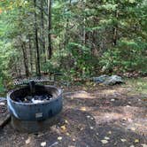 Review photo of Wakemup Bay — Kabetogama State Forest by Janet R., September 28, 2021