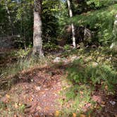 Review photo of Wakemup Bay — Kabetogama State Forest by Janet R., September 28, 2021