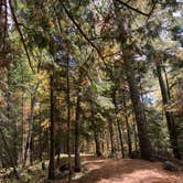 Review photo of Wakemup Bay — Kabetogama State Forest by Janet R., September 28, 2021