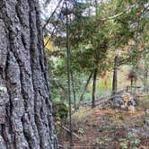 Review photo of Wakemup Bay — Kabetogama State Forest by Janet R., September 28, 2021