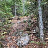 Review photo of Wakemup Bay — Kabetogama State Forest by Janet R., September 28, 2021