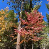 Review photo of Wakemup Bay — Kabetogama State Forest by Janet R., September 28, 2021