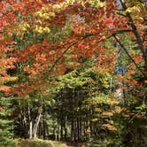 Review photo of Wakemup Bay — Kabetogama State Forest by Janet R., September 28, 2021