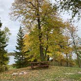 Review photo of Boy Scout Point, Northome, MN by Janet R., September 28, 2021