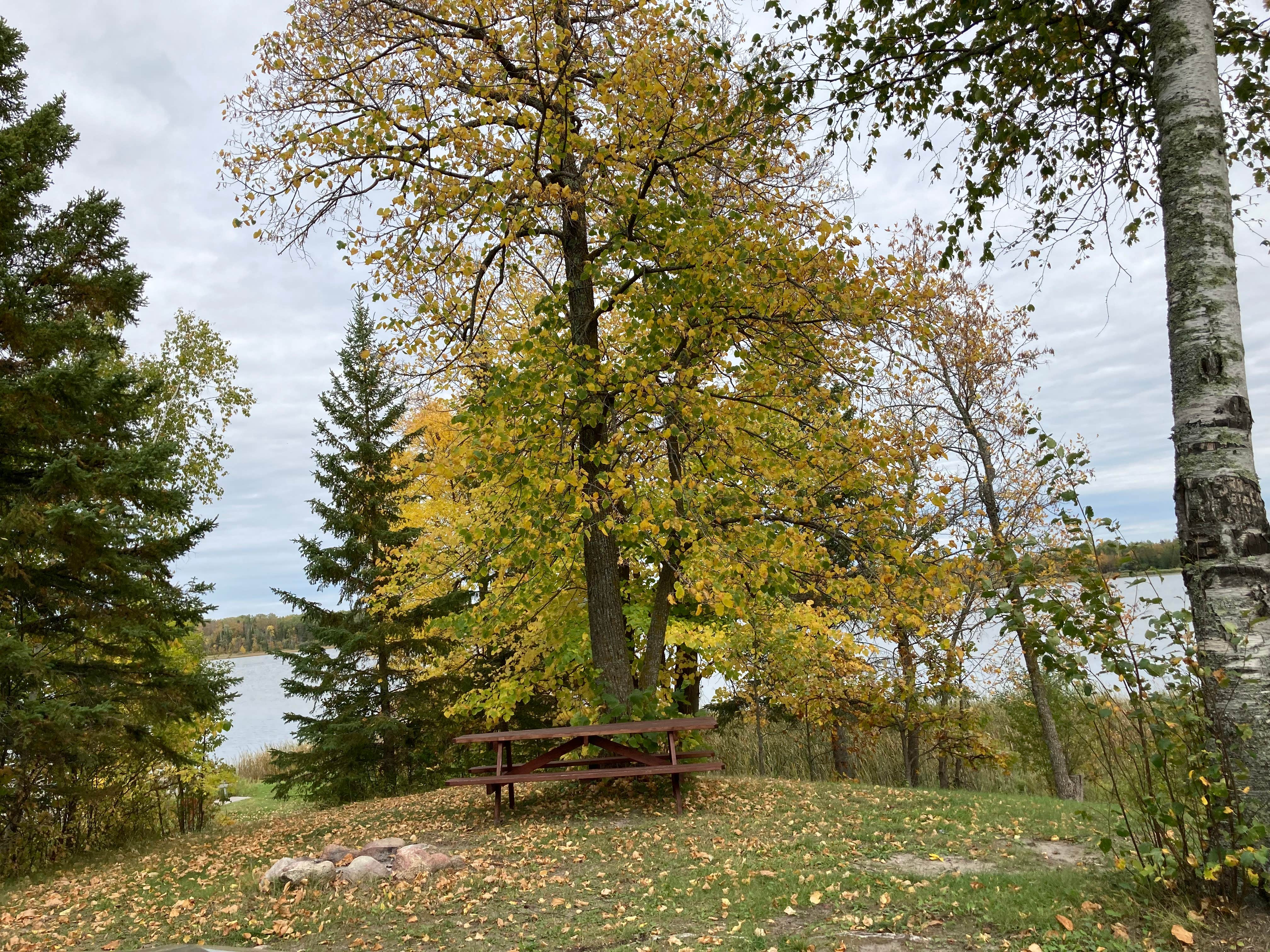 Camper submitted image from Boy Scout Point, Northome, MN - 3