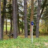 Review photo of Boy Scout Point, Northome, MN by Janet R., September 28, 2021