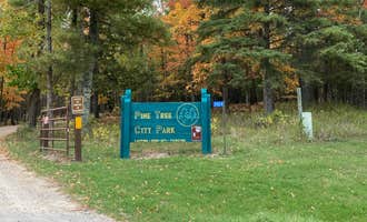 Camping near Webster Lake Campground: Pine Tree Park, Blackduck, Minnesota