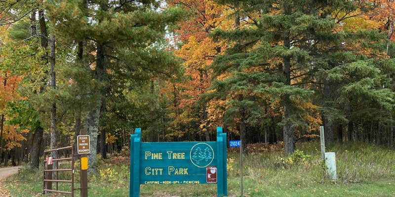 Camper submitted image from Pine Tree Park