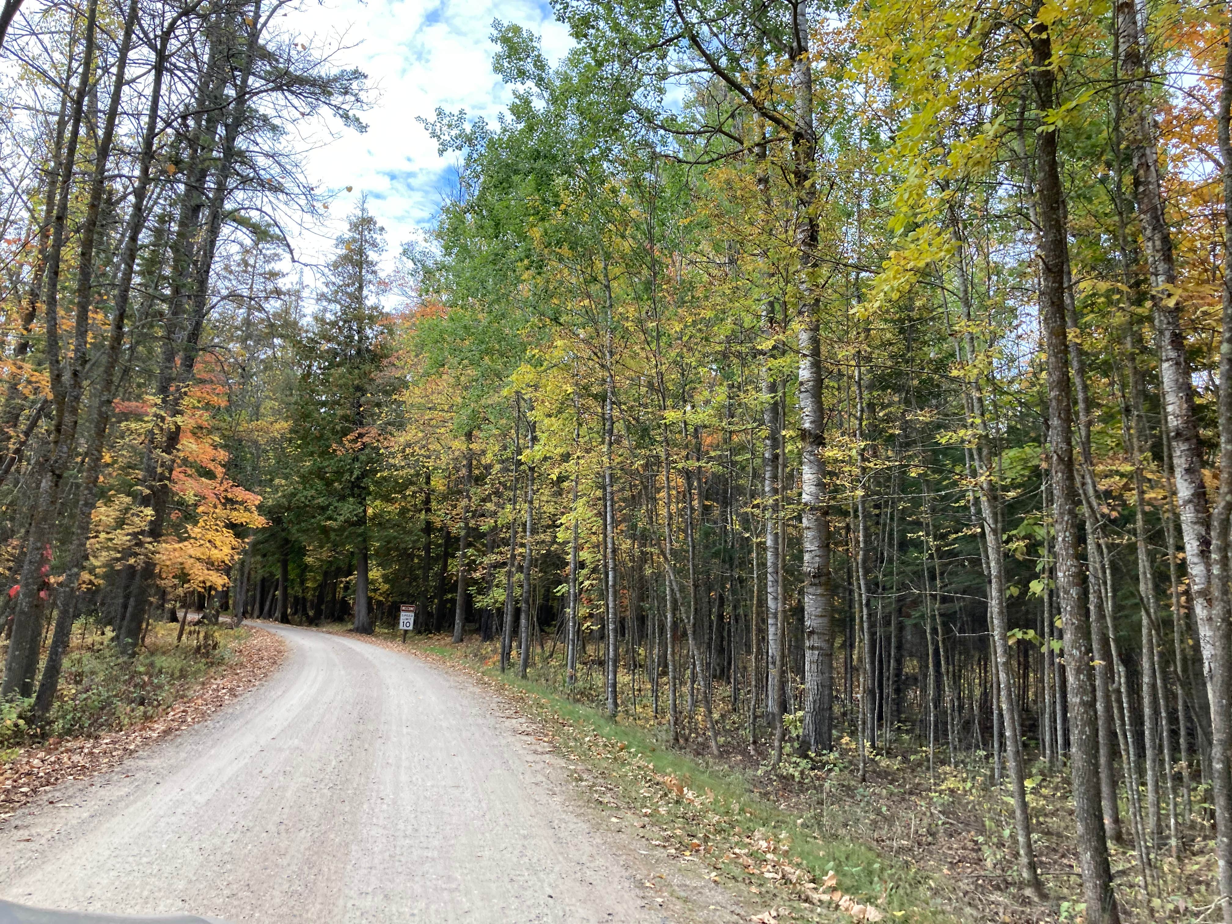 Camper-submitted photo at Pine Tree Park near Blackduck, MN