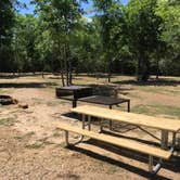 Review photo of Lake Bastrop North Shore Park by Troy W., July 1, 2018