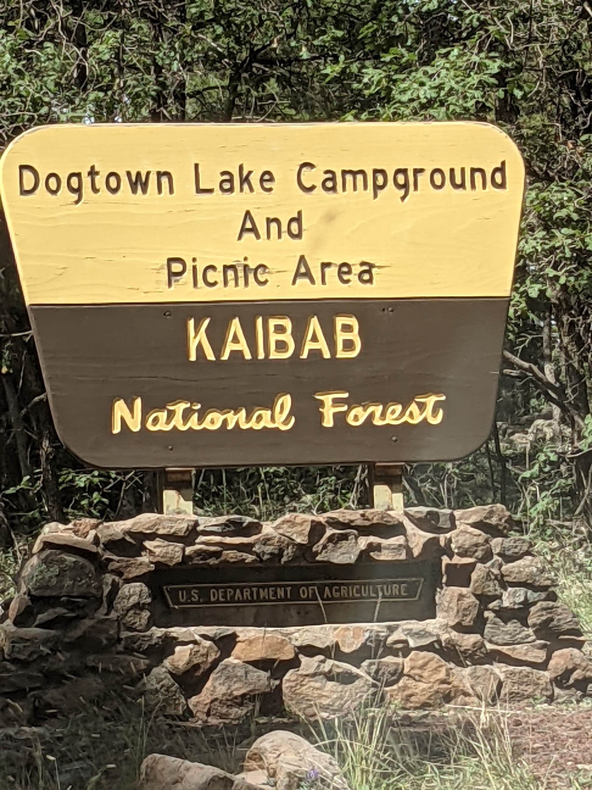 Camper submitted image from Dogtown Lake Campground And Group - 5