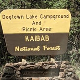 Review photo of Dogtown Lake Campground And Group by Andrew B., September 28, 2021