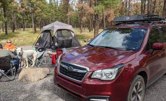 Andrew B.'s photo of camping with pets at Dogtown Lake Campground And Group near Kaibab National Forest