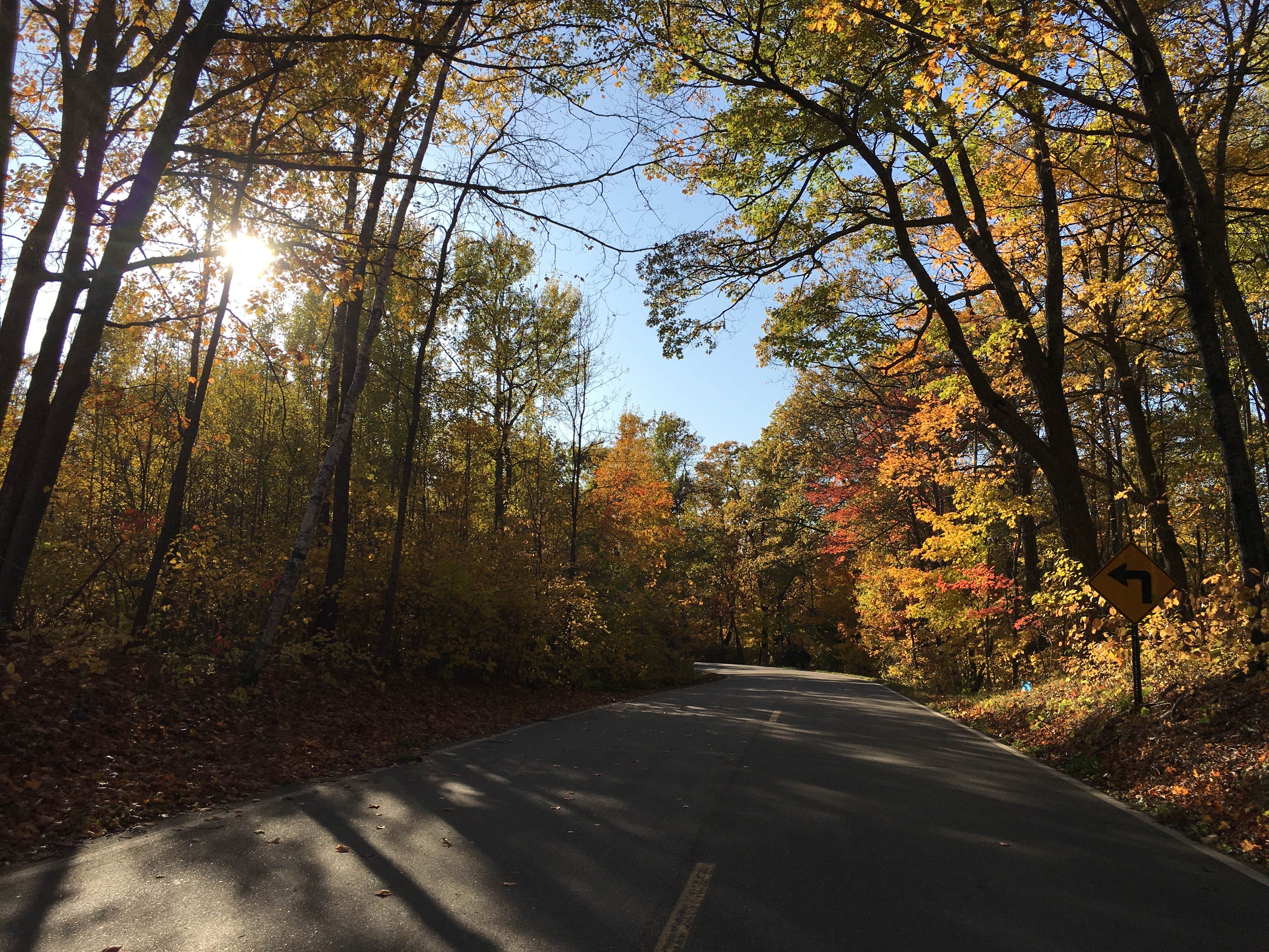 Camper-submitted photo at Lake Ozawindib Group Center — Itasca State Park near Midway, MN