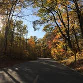 Review photo of Lake Ozawindib Group Center — Itasca State Park by Janet R., September 28, 2021