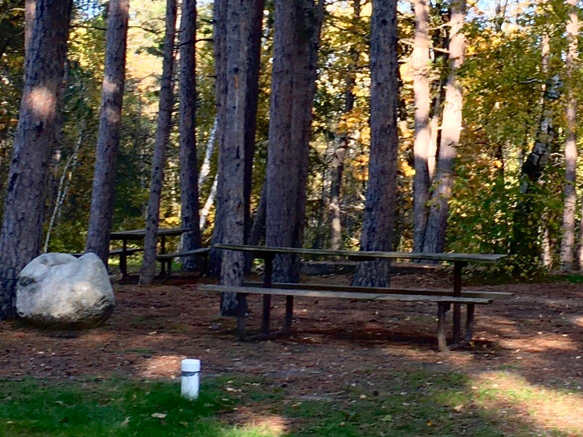 Camper-submitted photo at Lake Ozawindib Group Center — Itasca State Park near Midway, MN