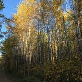 Review photo of Lake Ozawindib Group Center — Itasca State Park by Janet R., September 28, 2021