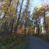 Review photo of Lake Ozawindib Group Center — Itasca State Park by Janet R., September 28, 2021