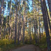 Review photo of Lake Ozawindib Group Center — Itasca State Park by Janet R., September 28, 2021