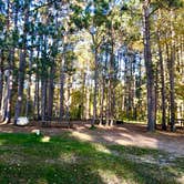 Review photo of Lake Ozawindib Group Center — Itasca State Park by Janet R., September 28, 2021