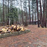 Review photo of Lake Ozawindib Group Center — Itasca State Park by Janet R., September 28, 2021