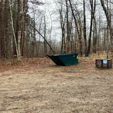 Review photo of Lake Ozawindib Group Center — Itasca State Park by Janet R., September 28, 2021