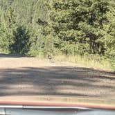 Review photo of Piedra Sheep Creek Corral Dispersed by Andrew B., September 28, 2021