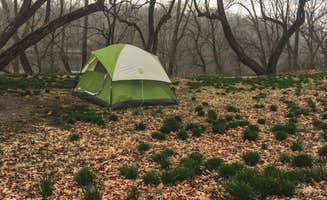 Casey L.'s photo at Antietam Creek Campground — Chesapeake and Ohio Canal National Historical Park near Chesapeake & Ohio Canal National Historical Park