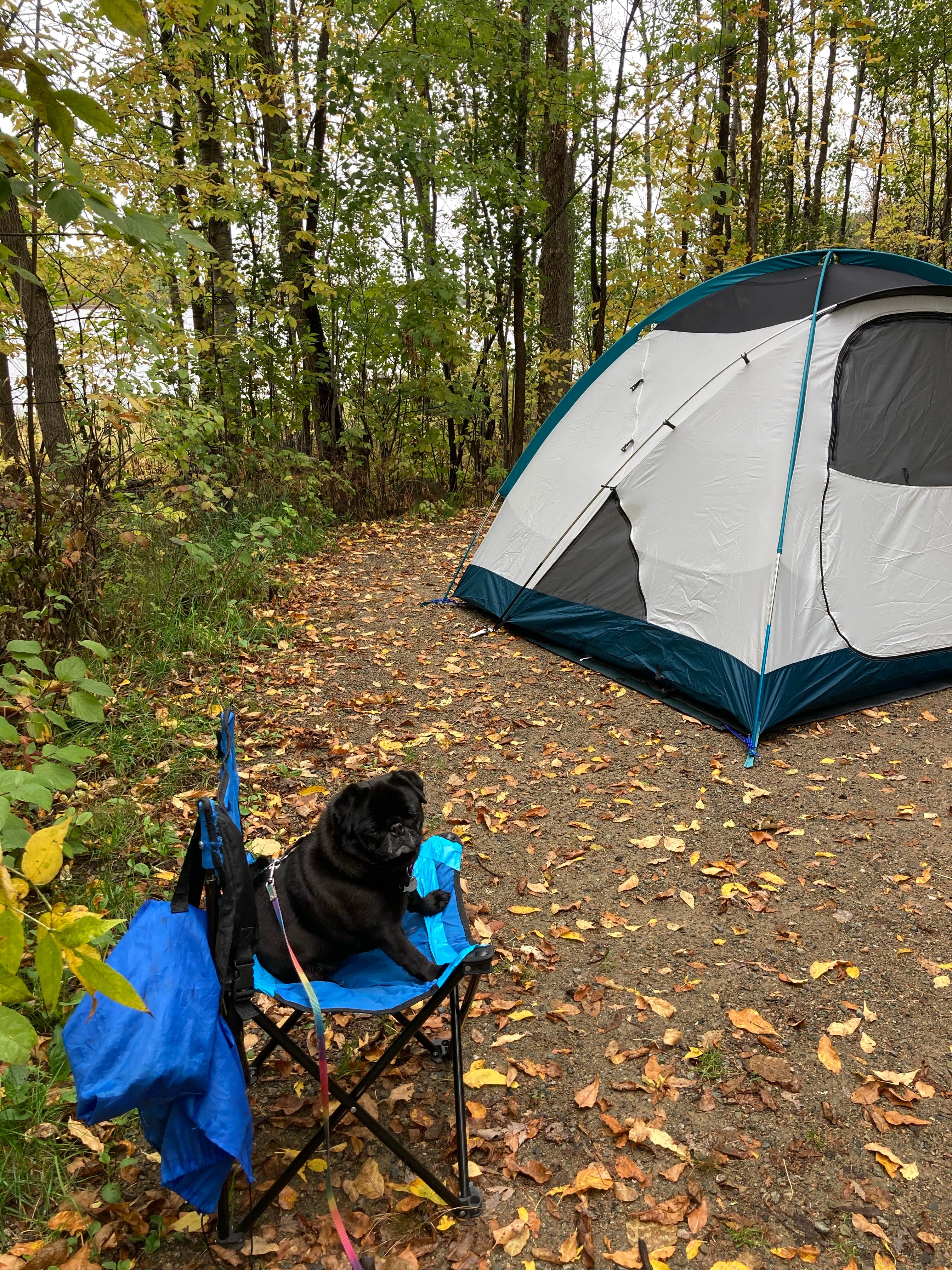 Janet R.'s photo at Superior National Forest Fall Lake Campground near Superior National Forest
