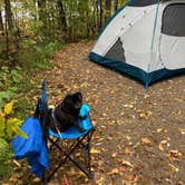 Review photo of Superior National Forest Fall Lake Campground by Janet R., September 28, 2021