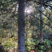 Review photo of Superior National Forest Fall Lake Campground by Janet R., September 28, 2021