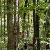 Review photo of Horseshoe Trails Camping Resort by Angela Kristen T., September 28, 2021