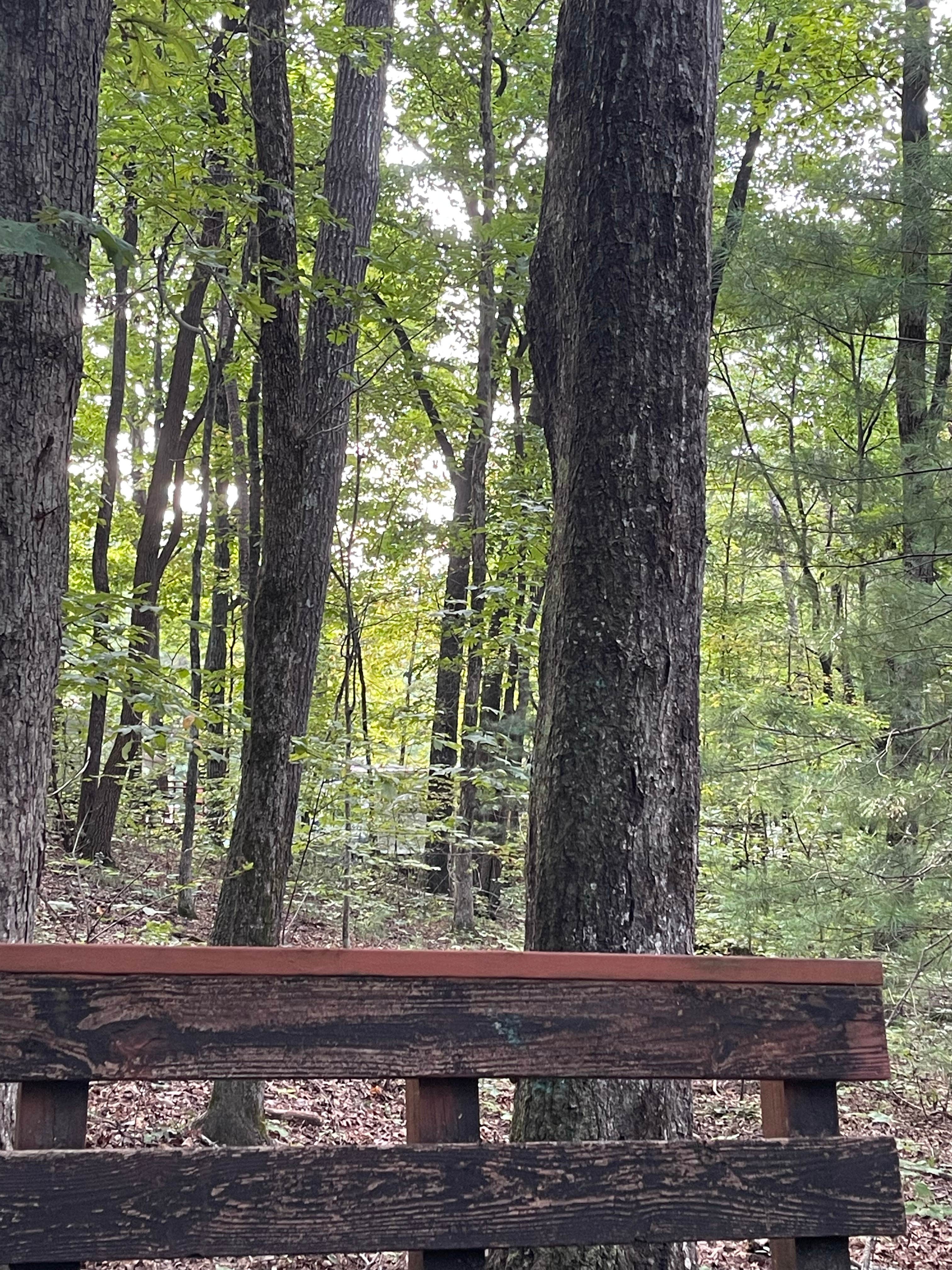 Camper submitted image from Horseshoe Trails Camping Resort - 5
