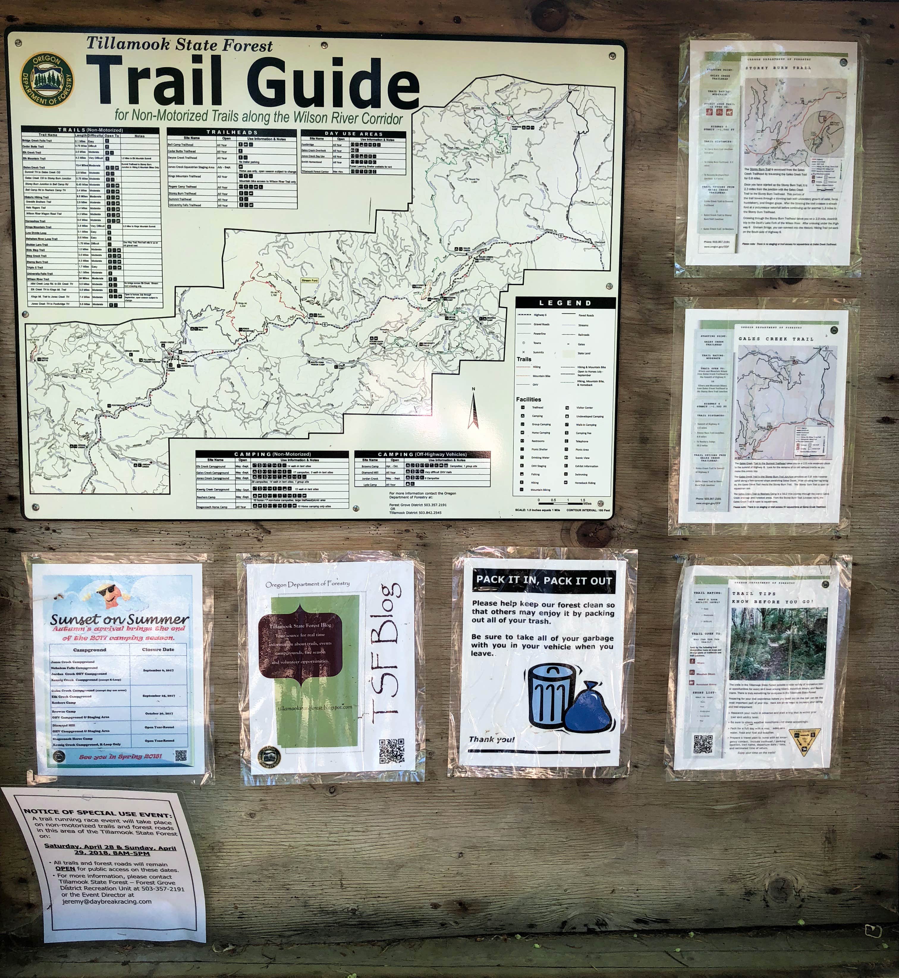 Gales Creek Campground The Dyrt