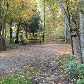 Review photo of HooDoo Point Campground by Janet R., September 28, 2021