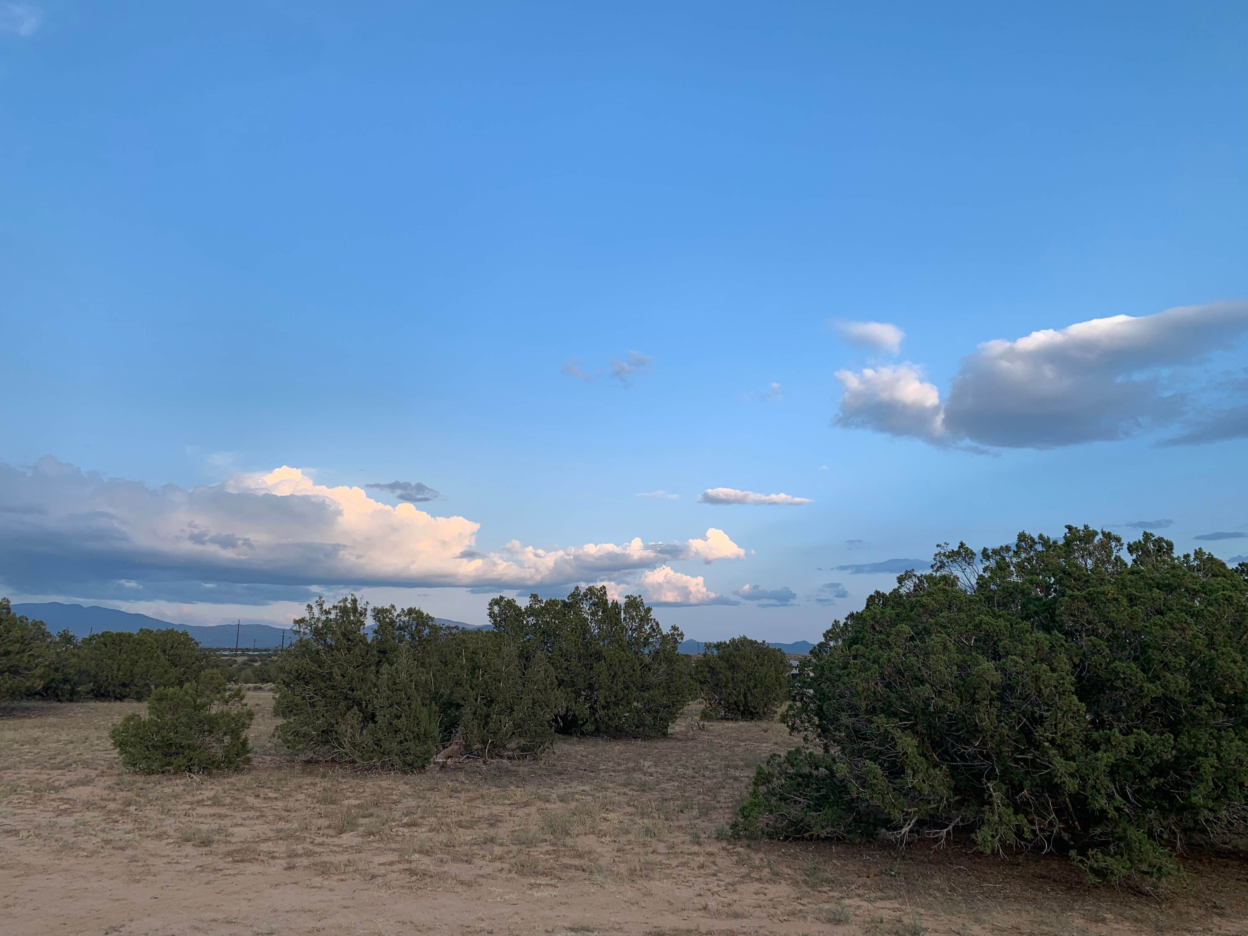 Nicole V.'s photo of a dispersed camping area at Sante Fe National Forest BLM-Road 62 Dispersed near Ribera, NM