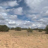 Review photo of Sante Fe National Forest BLM-Road 62 Dispersed by Nicole V., September 28, 2021