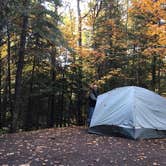 Review photo of Cascade River State Park Campground by Janet R., September 28, 2021