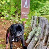 Review photo of Mukooda Lake Campground — Voyageurs National Park by Janet R., September 28, 2021