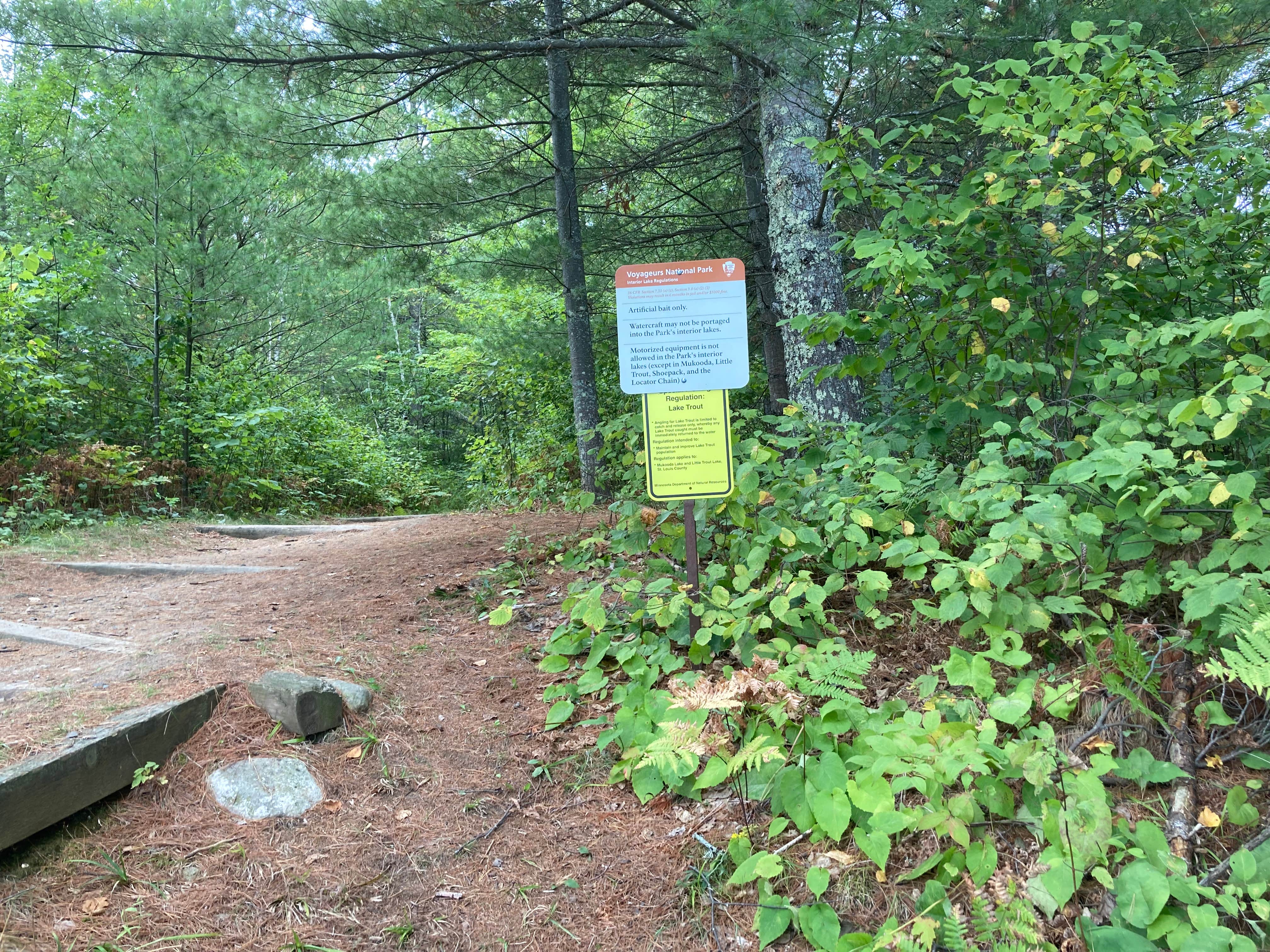 Camper submitted image from Mukooda Lake Campground — Voyageurs National Park - 2