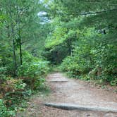 Review photo of Mukooda Lake Campground — Voyageurs National Park by Janet R., September 28, 2021