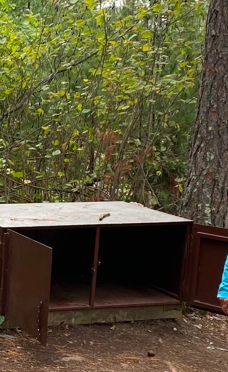 Camper submitted image from Mukooda Lake Campground — Voyageurs National Park - 4